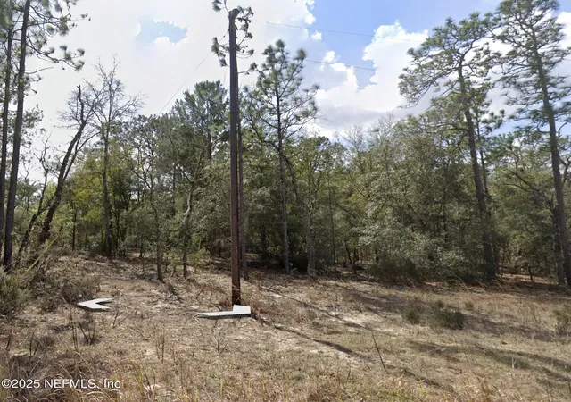 Photo 2 of Land for sale at 00 Fern Ave, Interlachen, FL 32148 | MLS# 2110494 | Listing updated on 2026-03-23