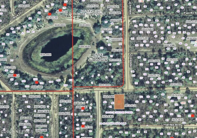 Photo 3 of Land for sale at 00 Fern Ave, Interlachen, FL 32148 | MLS# 2110494 | Listing updated on 2026-03-23