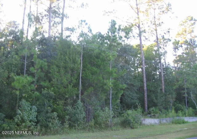 Photo 3 of Land for sale at 0 Owens Rd, Jacksonville, FL 32218 | MLS# 2111108 | Listing updated on 2026-08-20