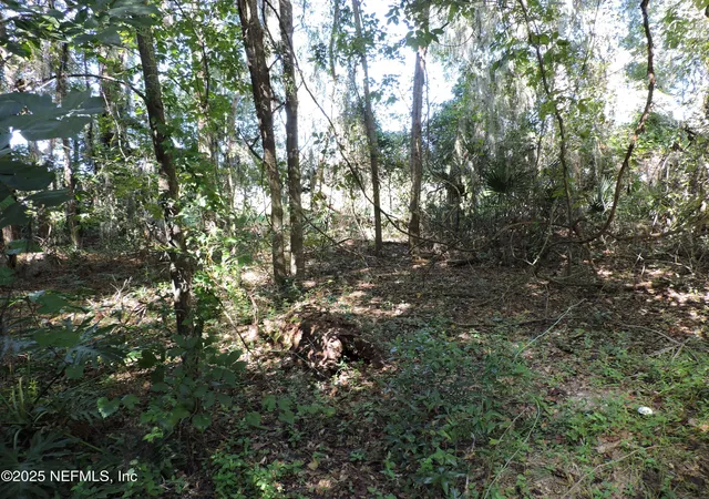 Photo 3 of Land for sale at 0 New Berlin Rd, Jacksonville, FL 32226 | MLS# 2113472 | Listing updated on 2026-06-23