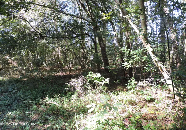 Photo 4 of Land for sale at 0 New Berlin Rd, Jacksonville, FL 32226 | MLS# 2113472 | Listing updated on 2026-06-23