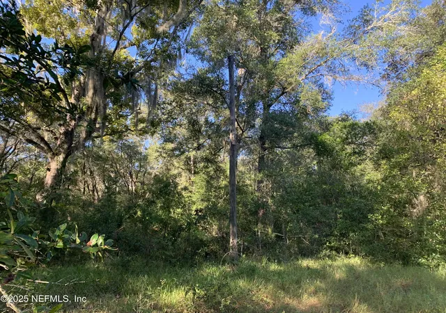 2nd image of 000 Baden Powell Rd, Hawthorne, FL 32140 | MLS# 2113827