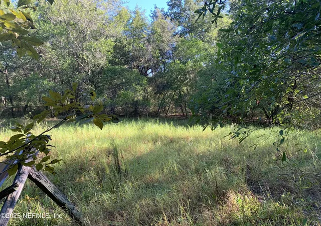 3rd image of 000 Baden Powell Rd, Hawthorne, FL 32140 | MLS# 2113827