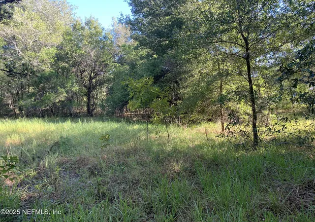 4th image of 000 Baden Powell Rd, Hawthorne, FL 32140 | MLS# 2113827