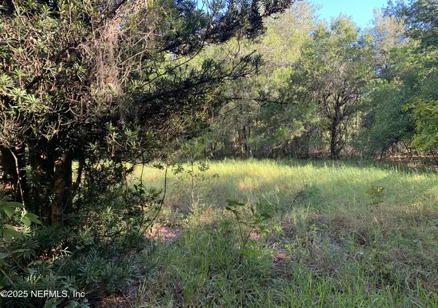 5th image of 000 Baden Powell Rd, Hawthorne, FL 32140 | MLS# 2113827