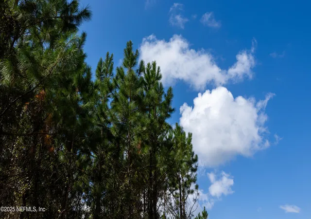 Photo 3 of Sale Pending at Lot SW 14 County Rd 225, Starke, FL 32091 | MLS# 2114350 | Listing updated on 2026-08-06