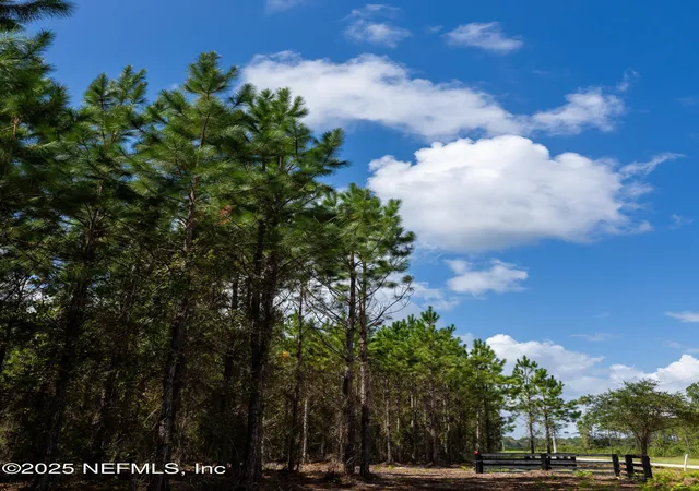 Photo 4 of Sale Pending at Lot SW 14 County Rd 225, Starke, FL 32091 | MLS# 2114350 | Listing updated on 2026-08-06