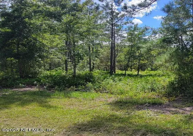 1st image of 4329 Bondarenko Rd, Keystone Heights, FL 32656 | MLS# 2116007
