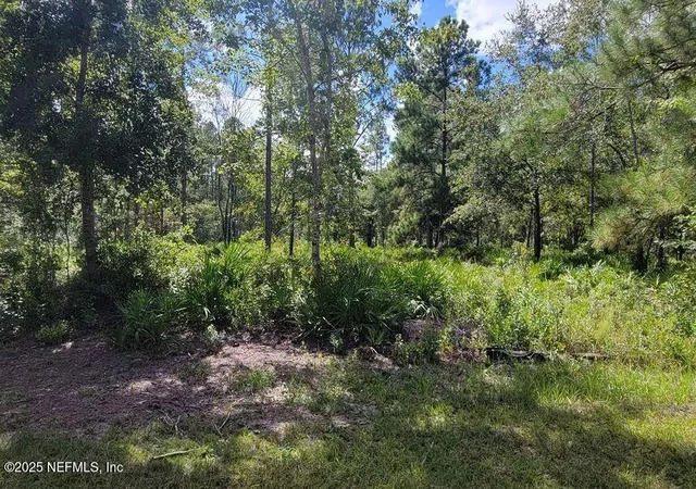 Photo 3 of Land for sale at 4329 Bondarenko Rd, Keystone Heights, FL 32656 | MLS# 2116007 | Listing updated on 2026-10-08