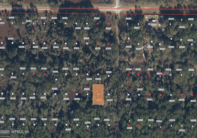 Photo 1 of Land for sale at 234 Laisy Dr, Georgetown, FL 32139 | MLS# 2118990 | Listing updated on 2026-04-13