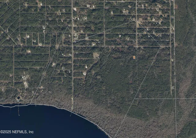 Photo 2 of Land for sale at 234 Laisy Dr, Georgetown, FL 32139 | MLS# 2118990 | Listing updated on 2026-04-13