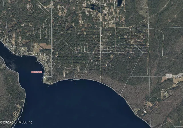 Photo 3 of Land for sale at 234 Laisy Dr, Georgetown, FL 32139 | MLS# 2118990 | Listing updated on 2026-04-13