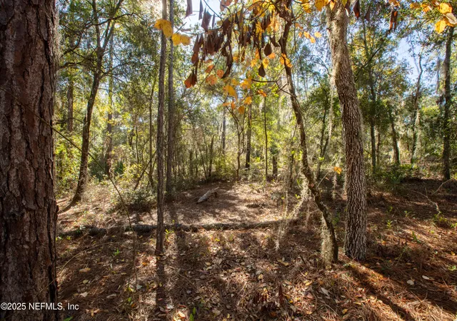Photo 1 of Land for sale at 000 W Hillsborough Ave, Florahome, FL 32140 | MLS# 2117513 | Listing updated on 2026-05-26