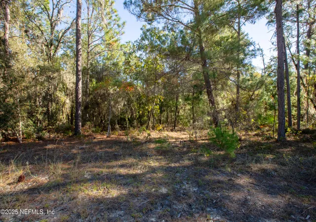 Photo 2 of Land for sale at 000 W Hillsborough Ave, Florahome, FL 32140 | MLS# 2117513 | Listing updated on 2026-05-26