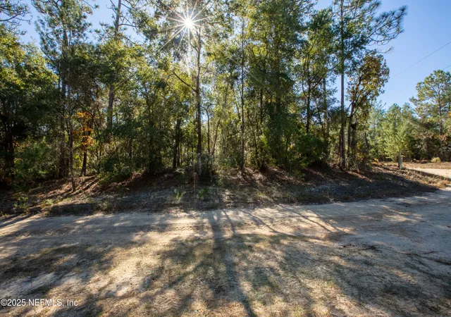 Photo 3 of Land for sale at 000 W Hillsborough Ave, Florahome, FL 32140 | MLS# 2117513 | Listing updated on 2026-05-26