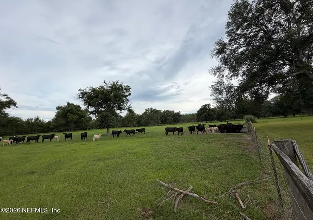 Homes for sale in Jasper, FL | 5377 Sw 40th Avenue, Jasper, FL 32052 | Houzeo
