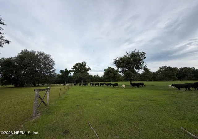 Homes for sale in Jasper, FL | 5377 Sw 40th Ave, Jasper, FL 32052 | MLS# 2117960