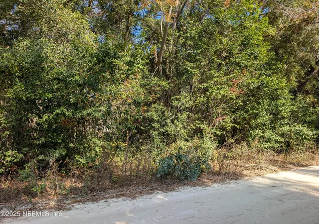 Photo 1 of Land for sale at 236 2nd Way, Interlachen, FL 32148 | MLS# 2118648 | Listing updated on 2025-11-21