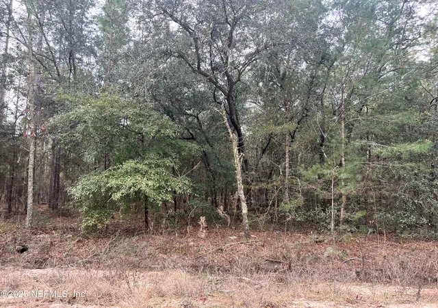 Photo 1 of Land for sale at 0 Trout Lake Cir, Interlachen, FL 32148 | MLS# 2119300 | Listing updated on 2025-11-24