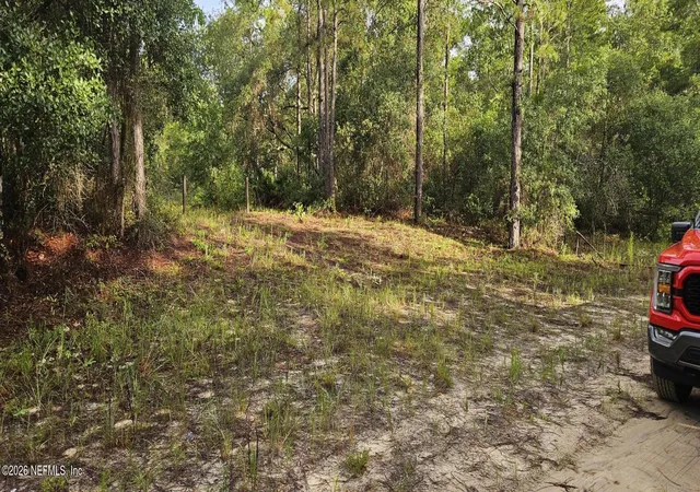 Homes for sale in Satsuma, FL | 409 Incline Rd, Satsuma, FL 32189 | MLS# 2120613