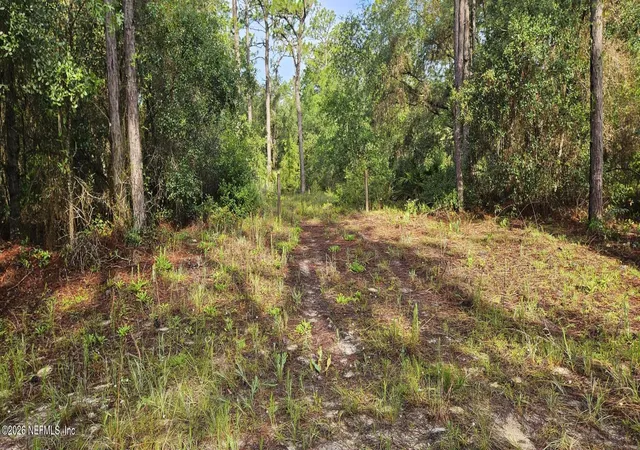 Homes for sale in Satsuma, FL | 411 Incline Rd, Satsuma, FL 32189 | MLS# 2120614