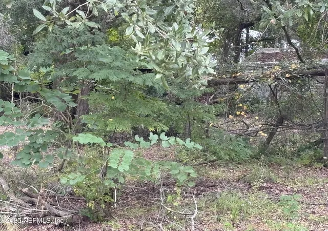 Photo 3 of Land for sale at 3319 Golden Gem Rd, Apopka, FL 32712 | MLS# 2120621 | Listing updated on 2026-03-22