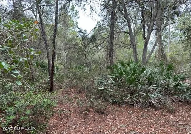 Photo 2 of Land for sale at 307 Lakeway Dr, Georgetown, FL 32139 | MLS# 2120927 | Listing updated on 2025-12-09