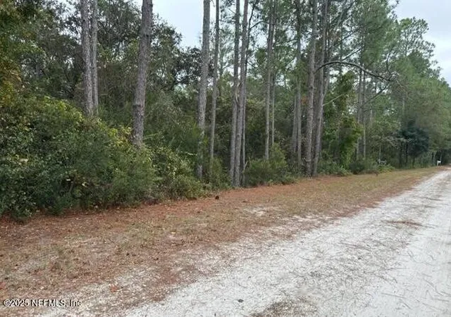 Photo 3 of Land for sale at 307 Lakeway Dr, Georgetown, FL 32139 | MLS# 2120927 | Listing updated on 2025-12-09