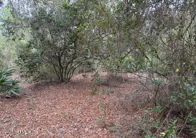 Photo 4 of Land for sale at 307 Lakeway Dr, Georgetown, FL 32139 | MLS# 2120927 | Listing updated on 2025-12-09
