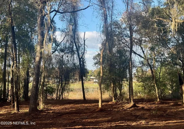 4th image of 892 Lake Shore Ter, Interlachen, FL 32148 | MLS# 2121791