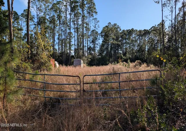 Photo 2 of Land for sale at 113 White Pine Ln, Georgetown, FL 32139 | MLS# 2121800 | Listing updated on 2026-06-15