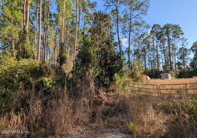 Photo 3 of Land for sale at 113 White Pine Ln, Georgetown, FL 32139 | MLS# 2121800 | Listing updated on 2026-06-15