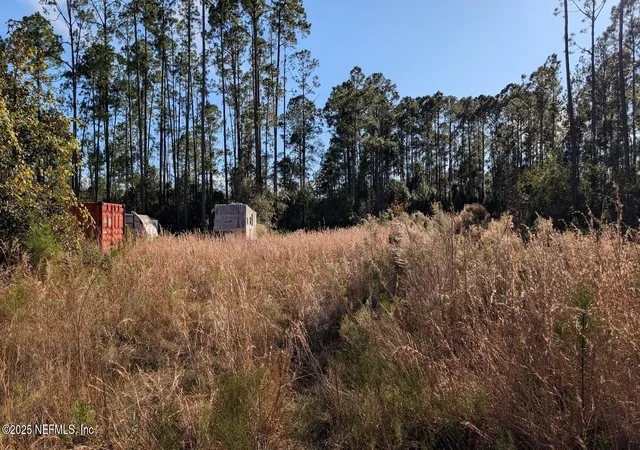 Photo 5 of Land for sale at 113 White Pine Ln, Georgetown, FL 32139 | MLS# 2121800 | Listing updated on 2026-06-15