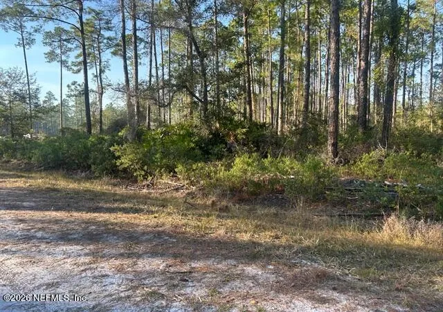 Photo 3 of Sale Pending at 128 Carteret Rd, Georgetown, FL 32139 | MLS# 2124439 | Listing updated on 2026-09-28