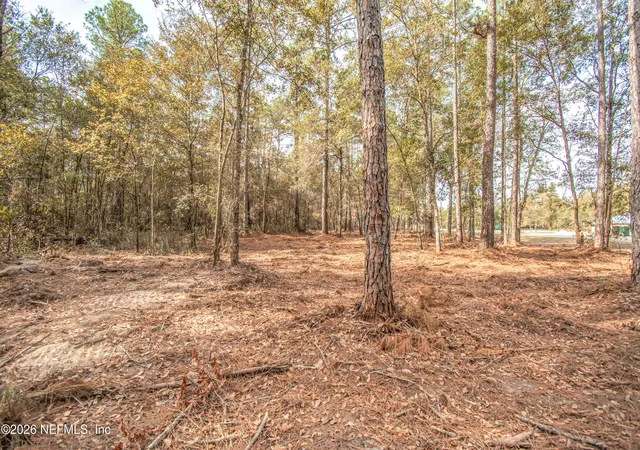 Photo 3 of Land for sale at 13890 County Rd 124, Sanderson, FL 32087 | MLS# 2127828 | Listing updated on 2026-01-30