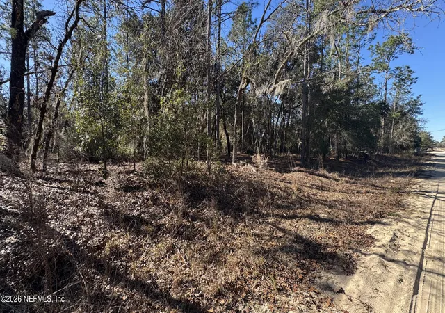 1st image of 131 Spring Lake Dr, Interlachen, FL 32148 | MLS# 2127131