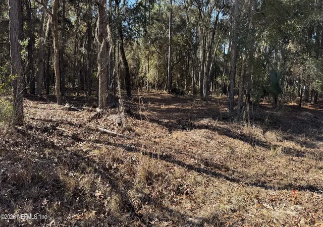 3rd image of 131 Spring Lake Dr, Interlachen, FL 32148 | MLS# 2127131