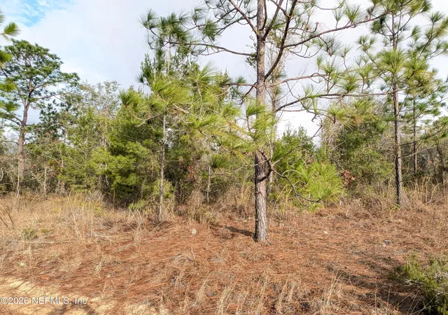 Photo 1 of Land for sale at 430 Cherry St, Interlachen, FL 32148 | MLS# 2127718 | Listing updated on 2026-01-30