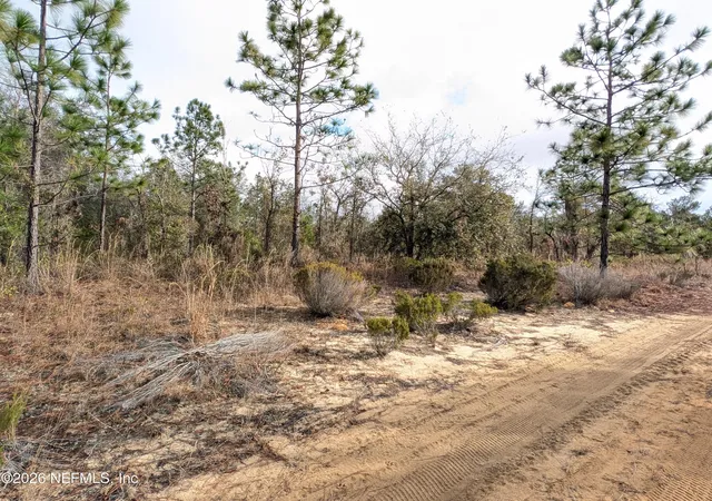 Photo 2 of Land for sale at 430 Cherry St, Interlachen, FL 32148 | MLS# 2127718 | Listing updated on 2026-01-30