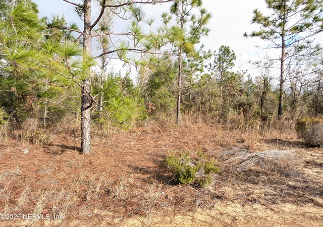 Photo 3 of Land for sale at 430 Cherry St, Interlachen, FL 32148 | MLS# 2127718 | Listing updated on 2026-01-30