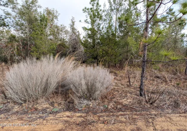 Photo 3 of Land for sale at 430 Cherry St, Interlachen, FL 32148 | MLS# 2127718 | Listing updated on 2026-01-30