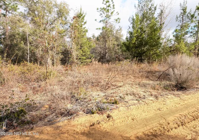 Photo 4 of Land for sale at 430 Cherry St, Interlachen, FL 32148 | MLS# 2127718 | Listing updated on 2026-01-30