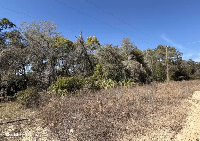 Photo 2 of Land for sale at 0 Cherry Ave, Hawthorne, FL 32640 | MLS# 2128642 | Listing updated on 2026-03-24