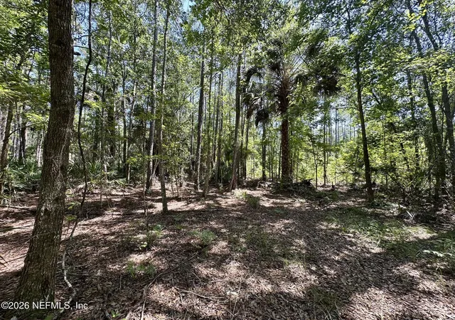 Homes for sale in Georgetown, FL | 304 Lakeshore Dr, Georgetown, FL 32139 | MLS# 2128358