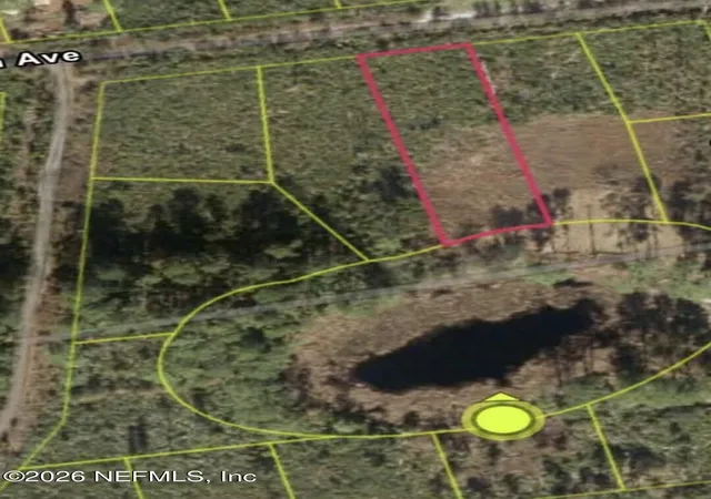 Photo 3 of Land for sale at 217 Hanselman Ave, Crescent City, FL 32112 | MLS# 2130522 | Listing updated on 2026-02-23