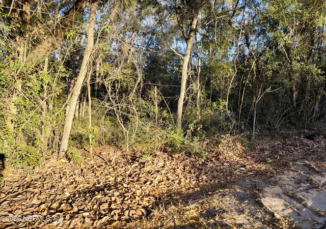 3rd image of 0160 Putnam Loop Road Road, Melrose, FL 32666 | MLS# 2131164