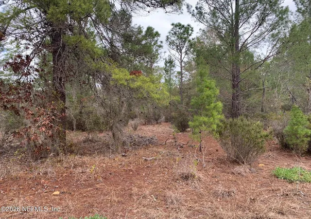 Photo 1 of Land for sale at Xxx St Lucie Ave, Interlachen, FL 32148 | MLS# 2131456 | Listing updated on 2026-02-23