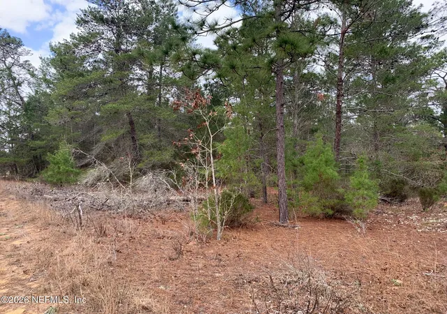 Photo 2 of Land for sale at Xxx St Lucie Ave, Interlachen, FL 32148 | MLS# 2131456 | Listing updated on 2026-02-23