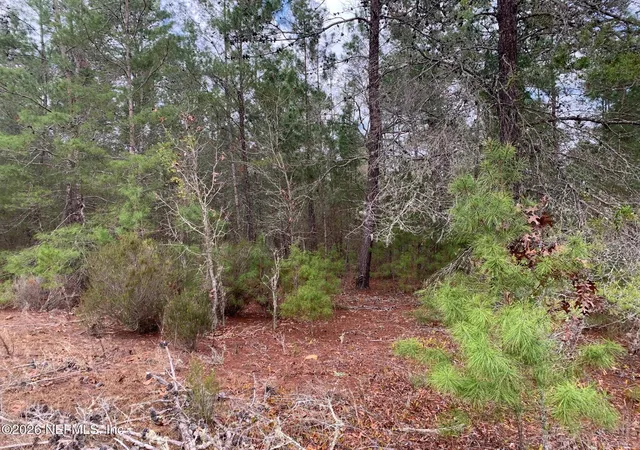 Photo 3 of Land for sale at Xxx St Lucie Ave, Interlachen, FL 32148 | MLS# 2131456 | Listing updated on 2026-02-23