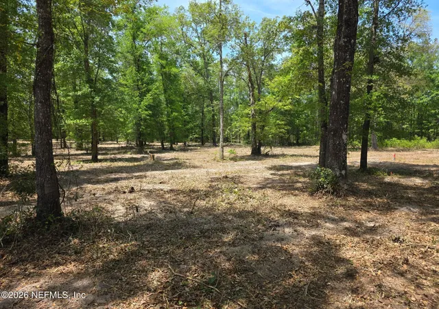 Homes for sale in Bryceville, FL | 15433 Bullock Bluff Rd, Bryceville, FL 32009 | MLS# 2131662